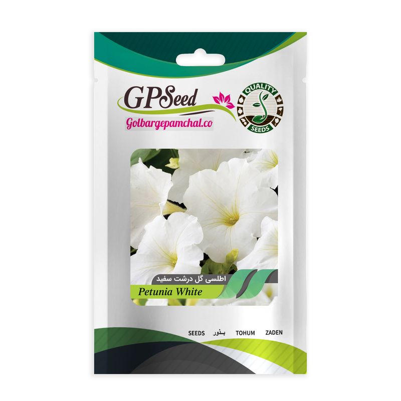 بذر گل اطلسی ایرانی گل درشت پرگل تک رنگ سفید گلدانی گلبرگ پامچال کد gpf 021