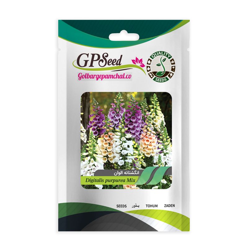 بذر گل انگشتانه گلبرگ پامچال کد gpf 024