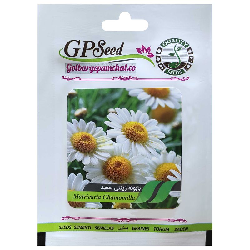 بذر گل بابونه زینتی سفید گلبرگ پامچال کد gpf 235