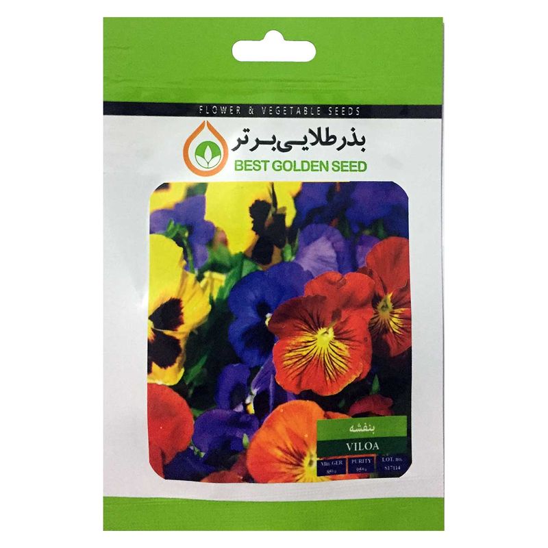 بذر گل بنفشه بذر طلایی برتر کد bzt 08