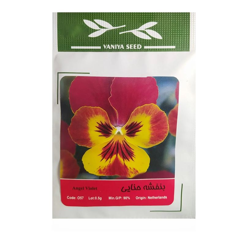 بذر گل بنفشه حنایی وانیا سید مدل ba1465