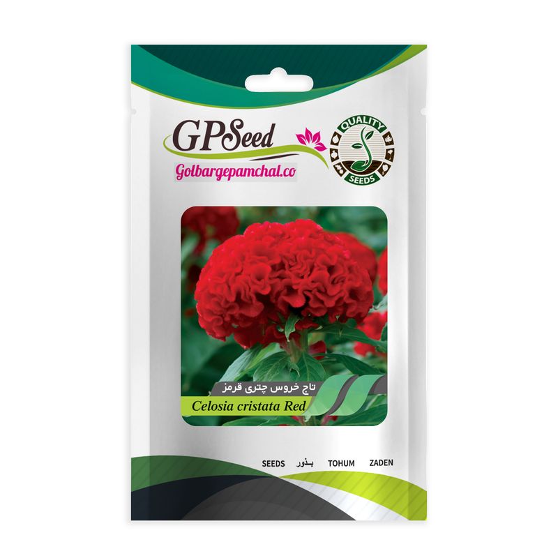 بذر گل تاج خروس چتری قرمز گلبرگ پامچال کد gpf 241