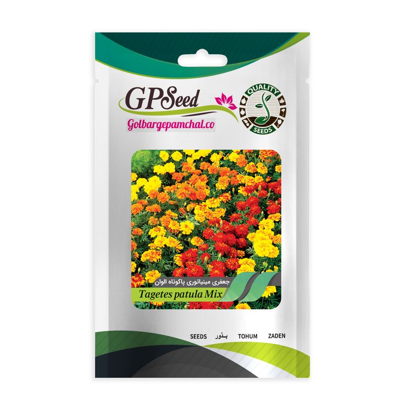 بذر گل جعفری مینیاتوری الوان گلبرگ پامچال کد gpf 040