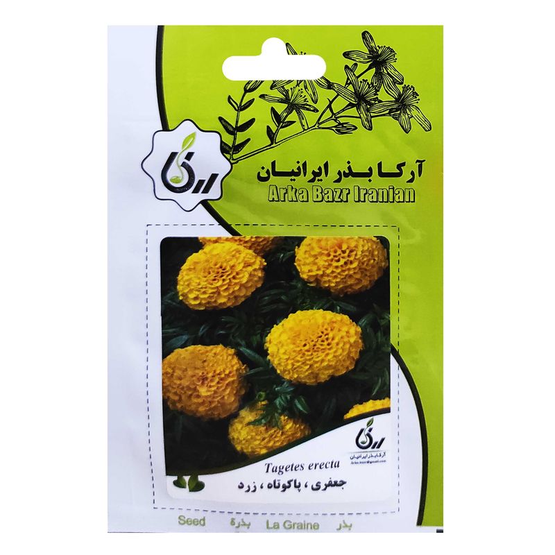 بذر گل جعفری پاکوتاه زرد آرکا بذر ایرانیان کد ark 011