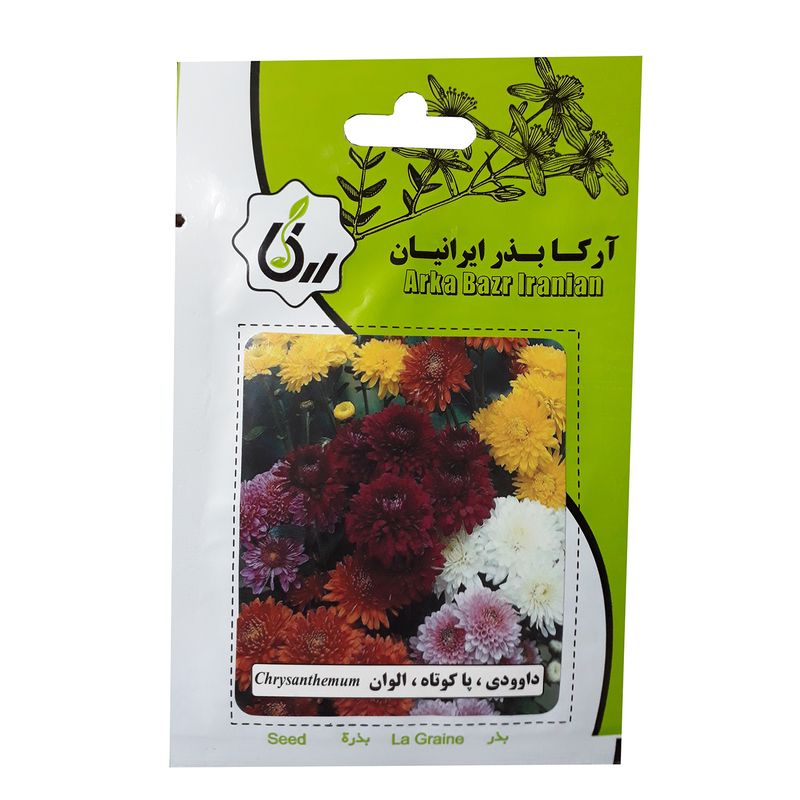 بذر گل داوودی پا کوتاه الوان آرکا بذر ایرانیان کد a53