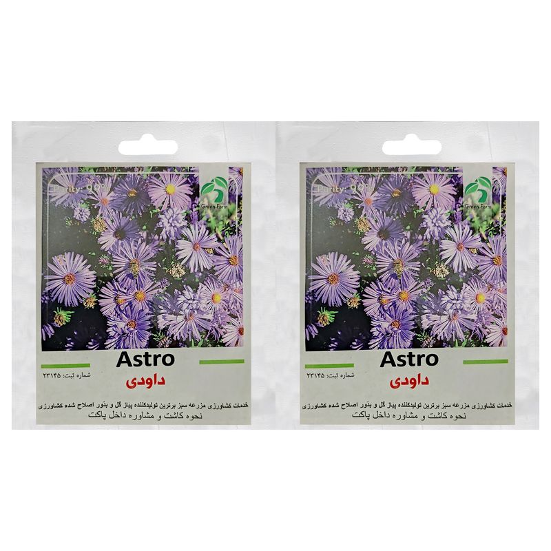 بذر گل داوودی گرین فارم کد gr da بسته 2 عددی