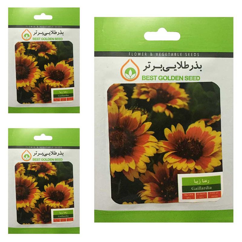 بذر گل رعنا زیبا بذر طلایی برتر کد btb 17 مجموعه 3 عددی