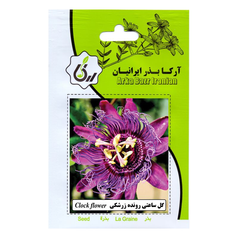 بذر گل ساعتی رونده زرشکی آرکا بذر ایرانیان کد 164 ark