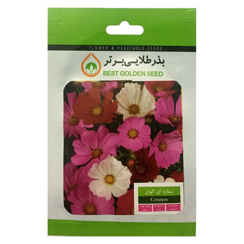بذر گل ستاره ای الوان بذر طلایی برتر کد bzt 19