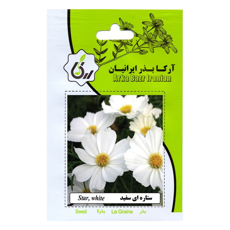 بذر گل ستاره ای سفید آرکا بذر ایرانیان کد 173 ark
