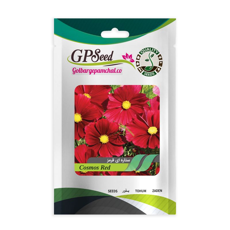 بذر گل ستاره ای قرمز گلبرگ پامچال کد gpf 251