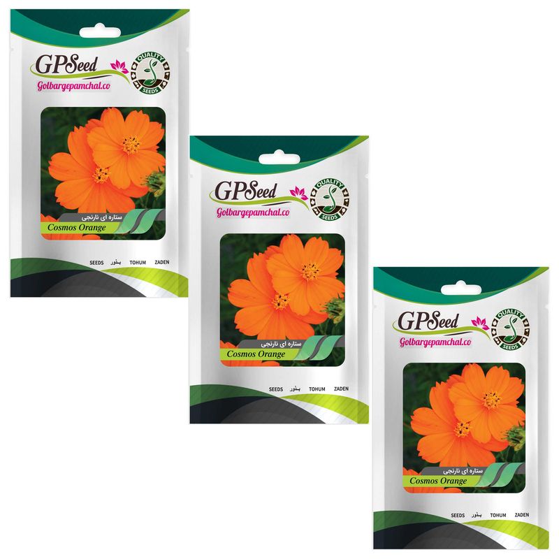 بذر گل ستاره ای نارنجی گلبرگ پامچال کد gpf 252 مجموعه 3 عددی