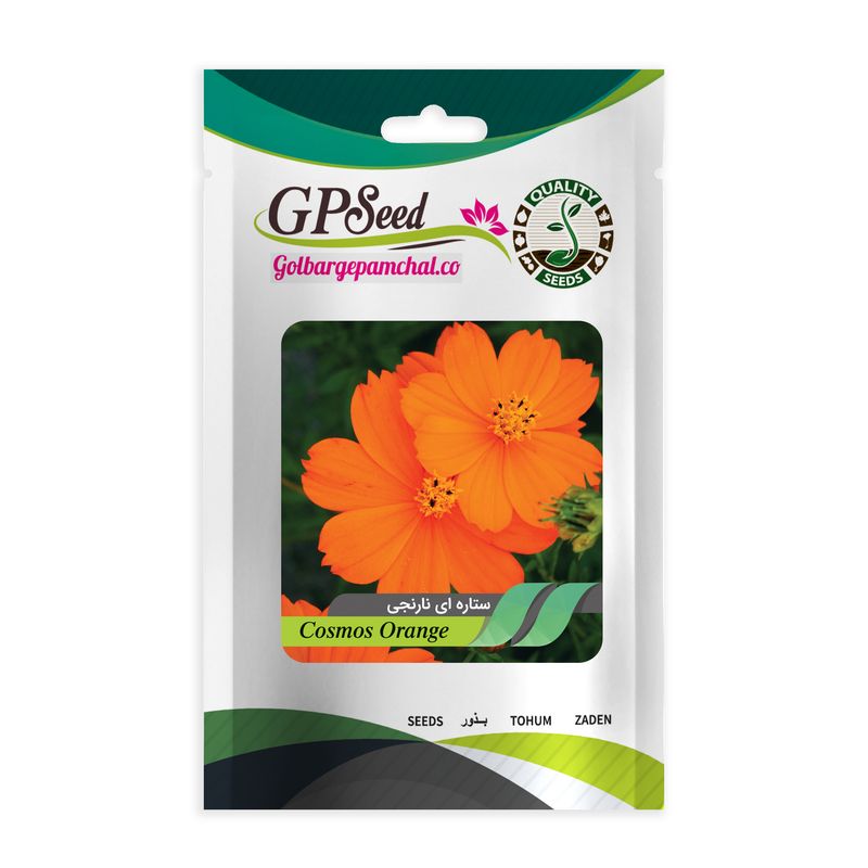 بذر گل ستاره ای نارنجی گلبرگ پامچال کد gpf 252