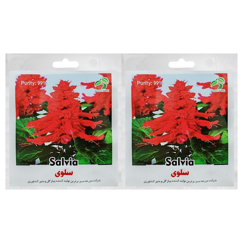 بذر گل سلوی گرین فارم کد grfs 32 بسته 2 عددی