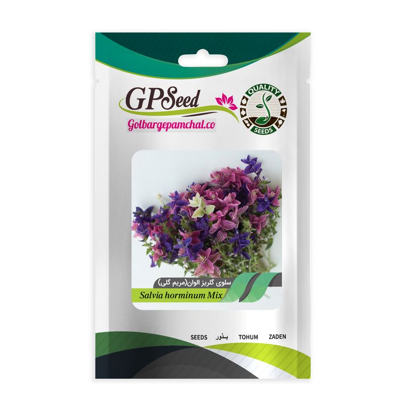 بذر گل سلوی گلریز الوان مریم گلی گلبرگ پامچال کد gpf 055