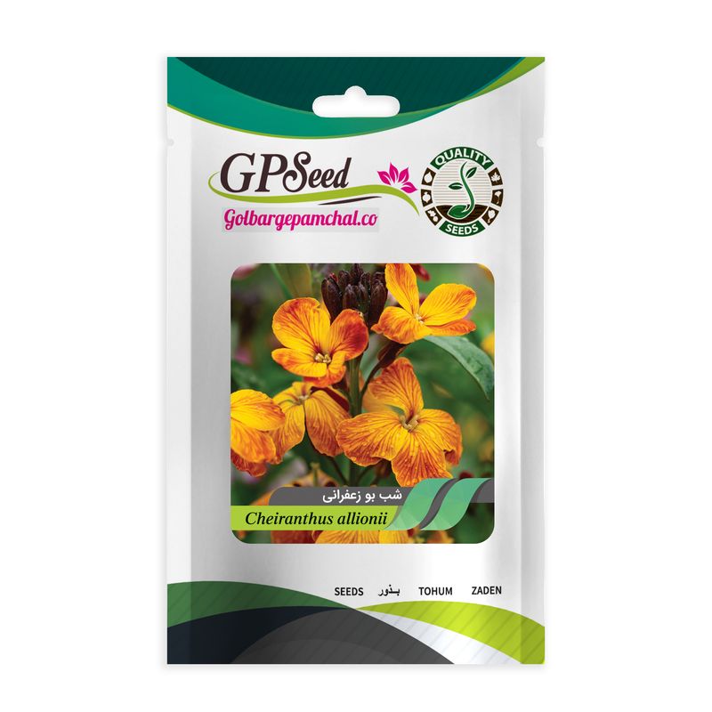 بذر گل شب بو زعفرانی گلبرگ پامچال کد gpf 059
