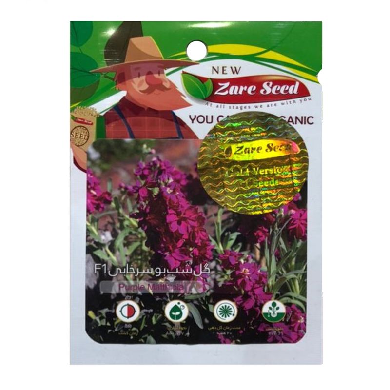 بذر گل شب بو سرخابی f1 پاسارگاد کشت زارع کد zs210