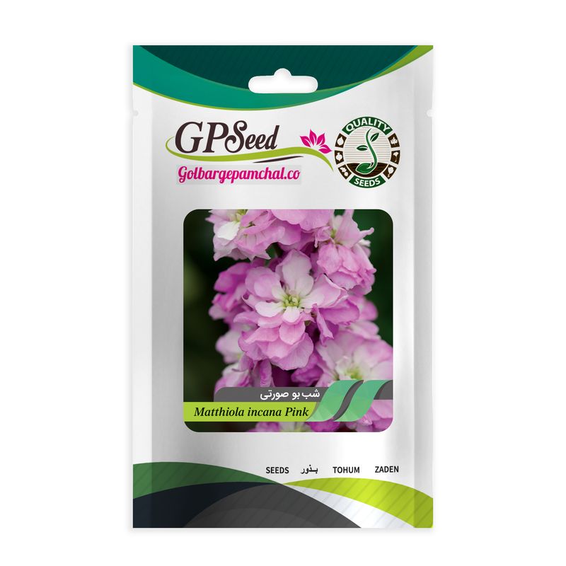 بذر گل شب بو صورتی گلدانی گلبرگ پامچال کد gpf 295