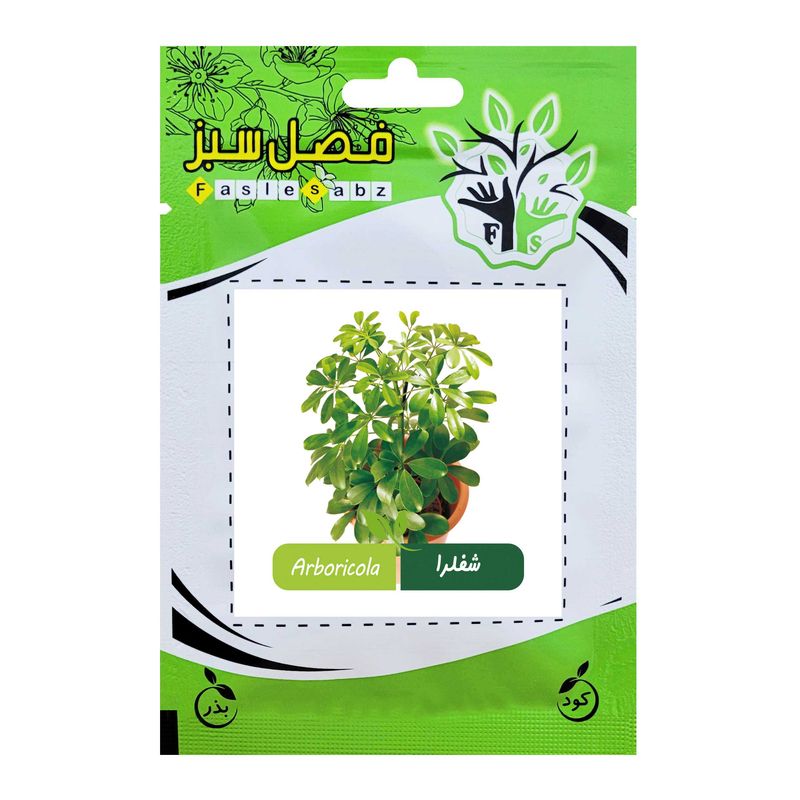 بذر گل شفلرا فصل سبز کد fsseed 044
