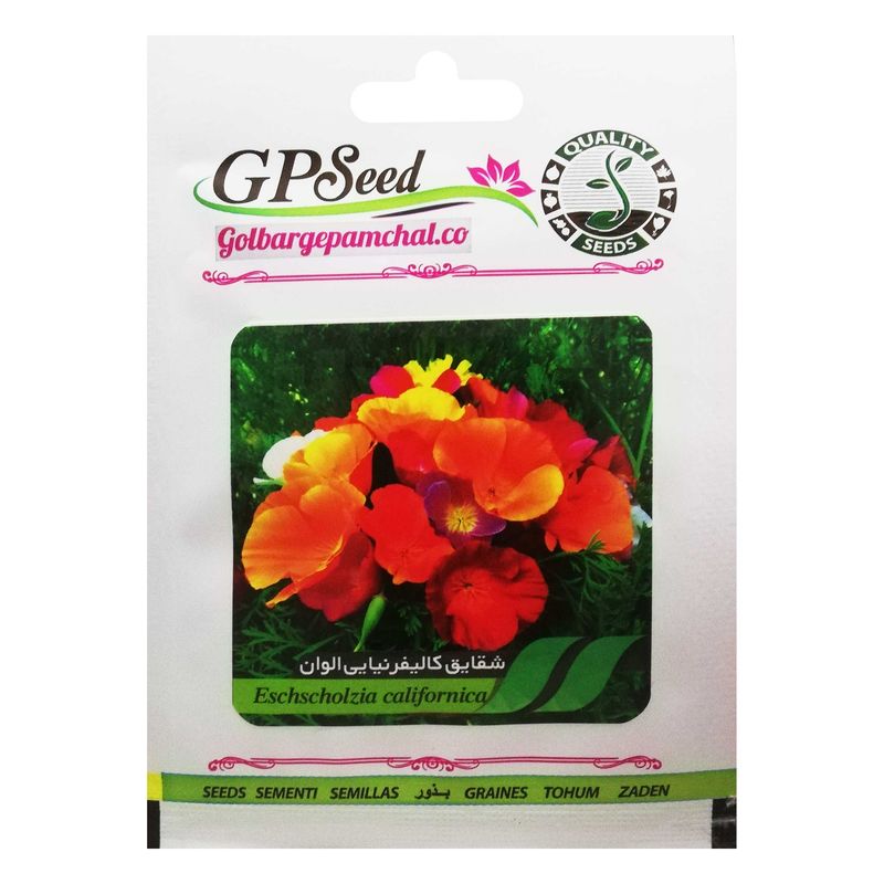 بذر گل شقایق کالیفرنیایی الوان گلبرگ پامچال کد gpf 062