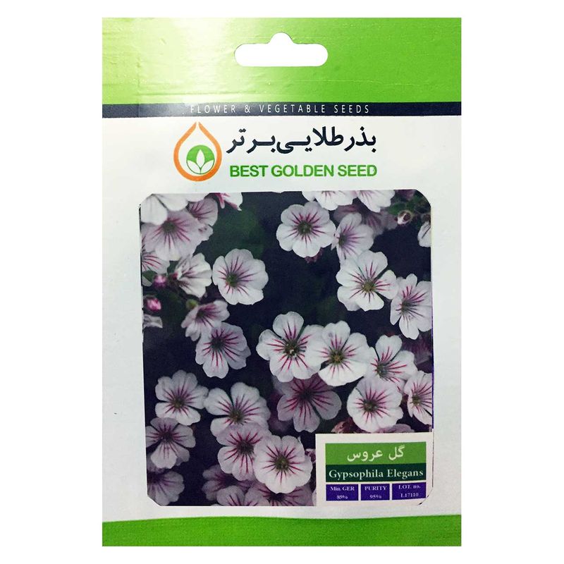 بذر گل عروس بذر طلایی برتر کد bzt 41