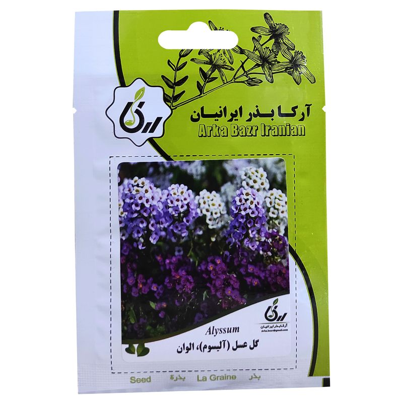 بذر گل عسل آلیسم الوان آرکا بذر ایرانیان کد ark 080