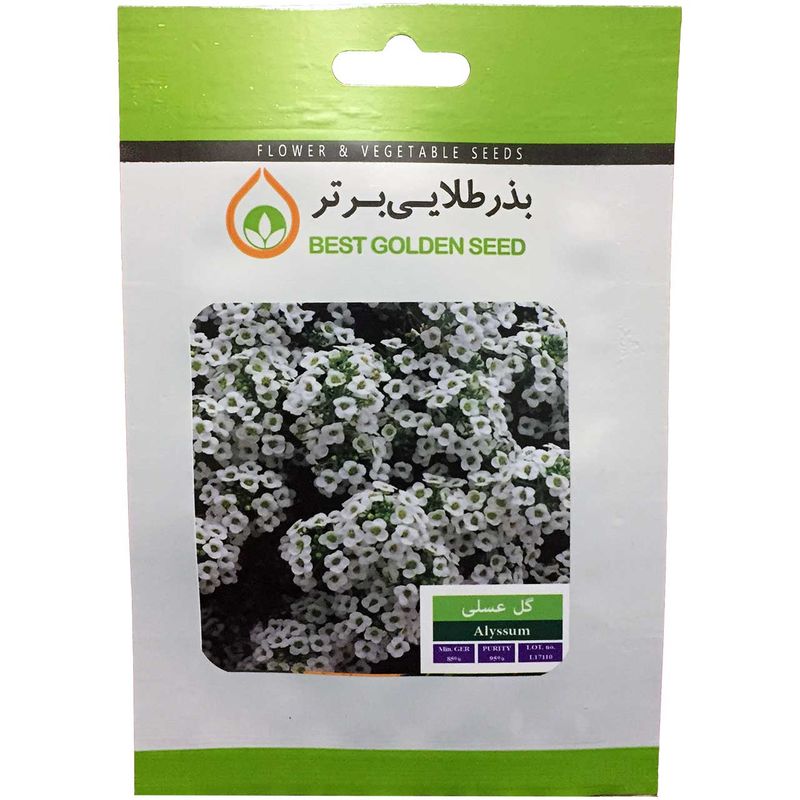 بذر گل عسلی بذر طلایی برتر کد bzt 24