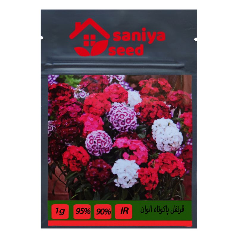 بذر گل قرنفل پاکوتاه الوان سانیا سید مدل q2