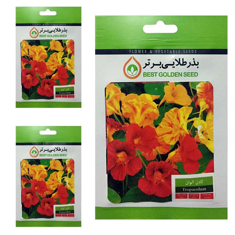 بذر گل لادن الوان بذر طلایی برتر کد btb 30 مجموعه 3 عددی