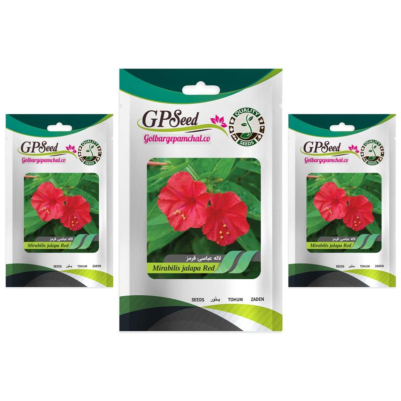 بذر گل لاله عباسی قرمز گلبرگ پامچال کد gpf 268 مجموعه 3 عددی