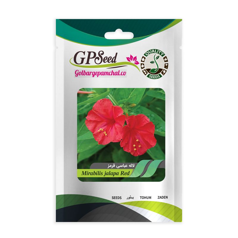 بذر گل لاله عباسی قرمز گلبرگ پامچال کد gpf 268