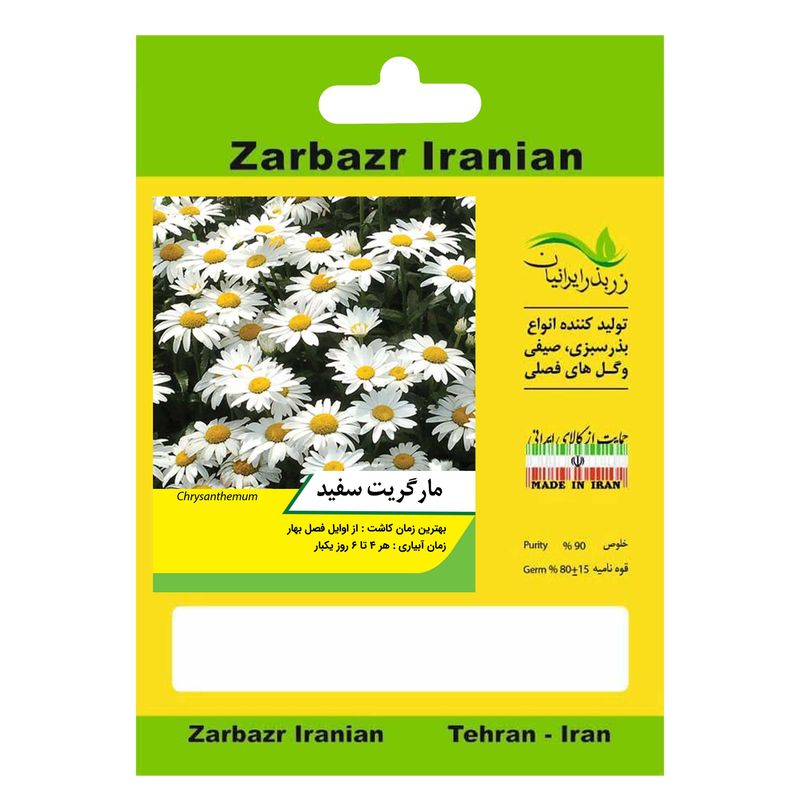 بذر گل مارگریت سفید زربذر ایرانیان کد zbp 104