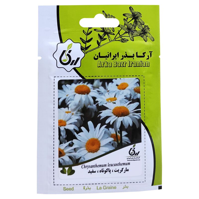 بذر گل مارگریت پاکوتاه سفید آرکا بذر ایرانیان کد ark 083