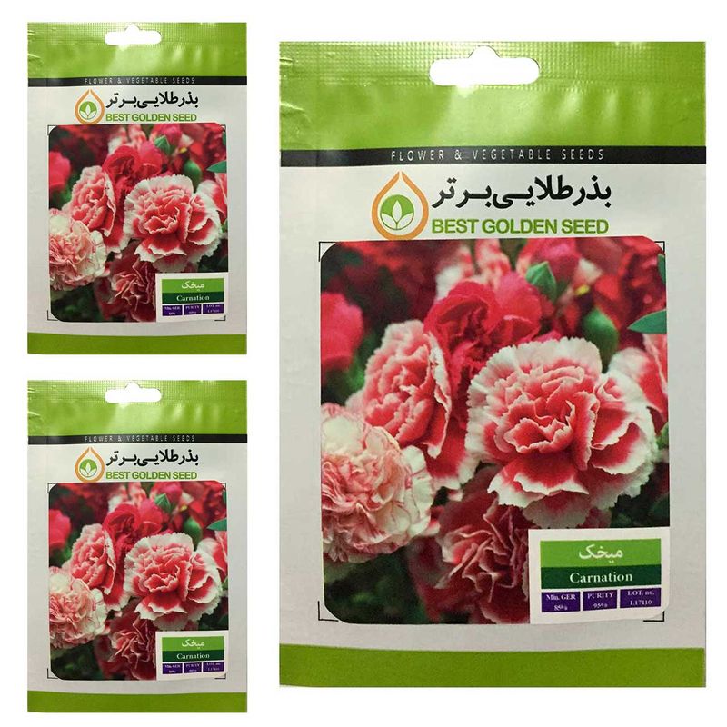 بذر گل میخک بذر طلایی برتر کد btb 39 مجموعه 3 عددی