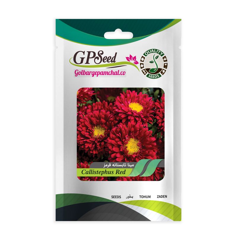بذر گل مینا تابستانه قرمز گلبرگ پامچال کد gpf 271