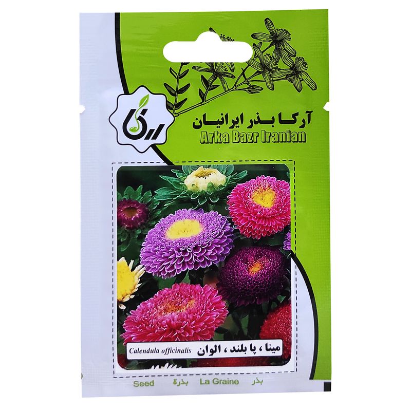 بذر گل مینا پابلند الوان آرکا بذر ایرانیان کد ark 084