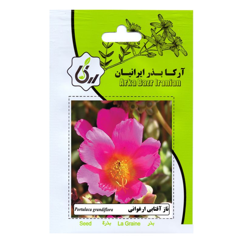 بذر گل ناز آفتابی ارغوانی آرکا بذر ایرانیان کد 170 ark