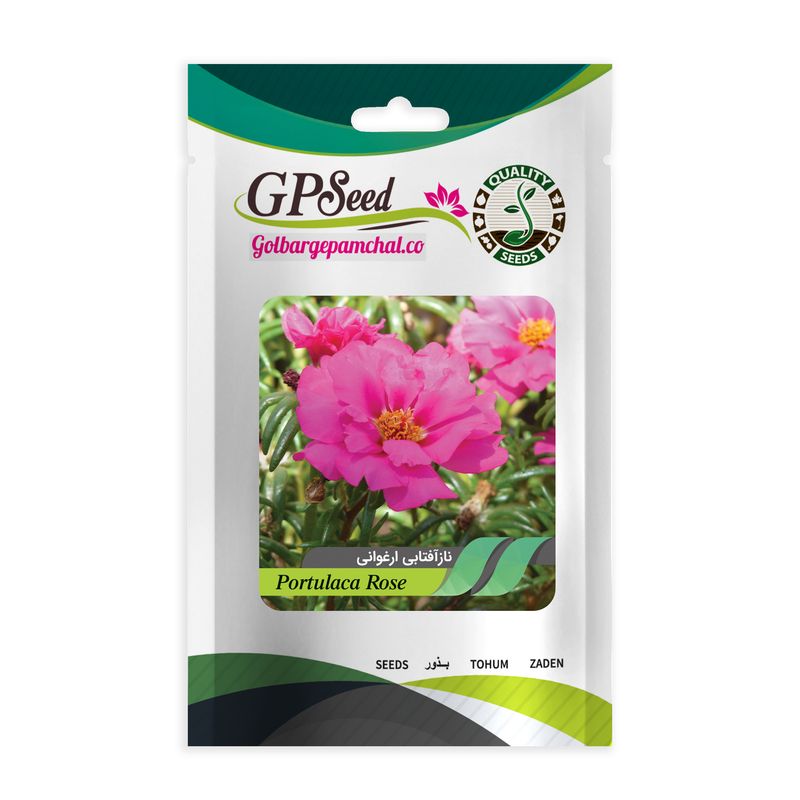 بذر گل ناز آفتابی ارغوانی گلبرگ پامچال کد gpf 274