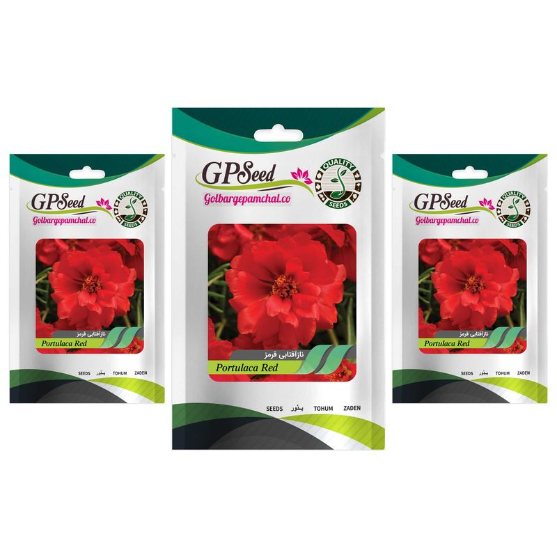 بذر گل ناز آفتابی پاکوتاه قرمز گلدانی گلبرگ پامچال کد gpf 089 مجموعه 3 عددی