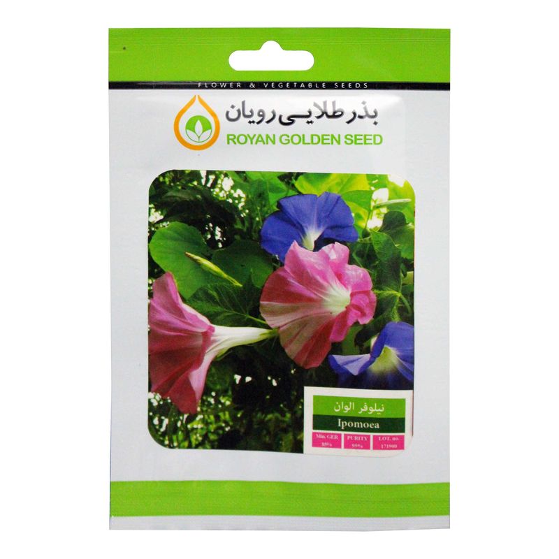 بذر گل نیلوفر الوان بذر طلایی رویان کد bztr 037