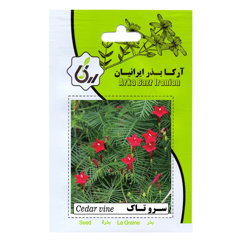 بذر گل نیلوفر رونده سرو تاک آرکا بذر ایرانیان کد 209 ark