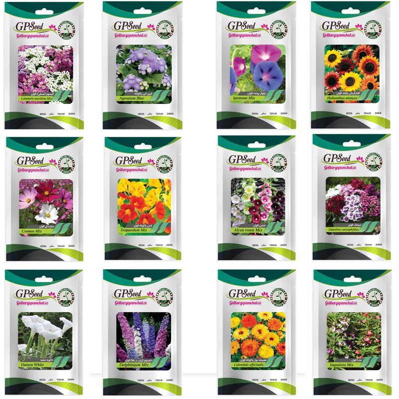 بذر گل های باغچه ای با رویش آسان گلبرگ پامچال کد g p gp 012 مجموعه 12 عددی