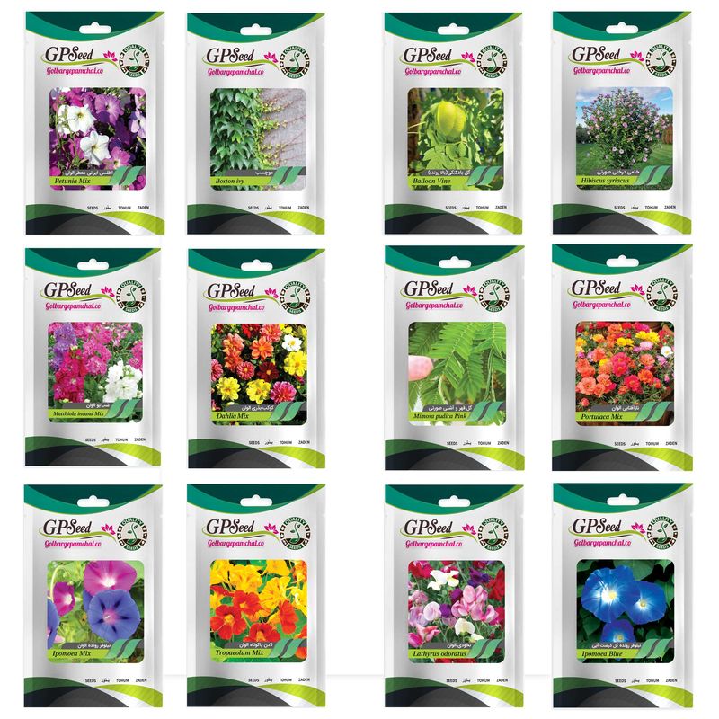 بذر گل های باغچه ای و گلدانی رونده با رویش آسان گلبرگ پامچال کد g p gp 012 مجموعه 12 عددی
