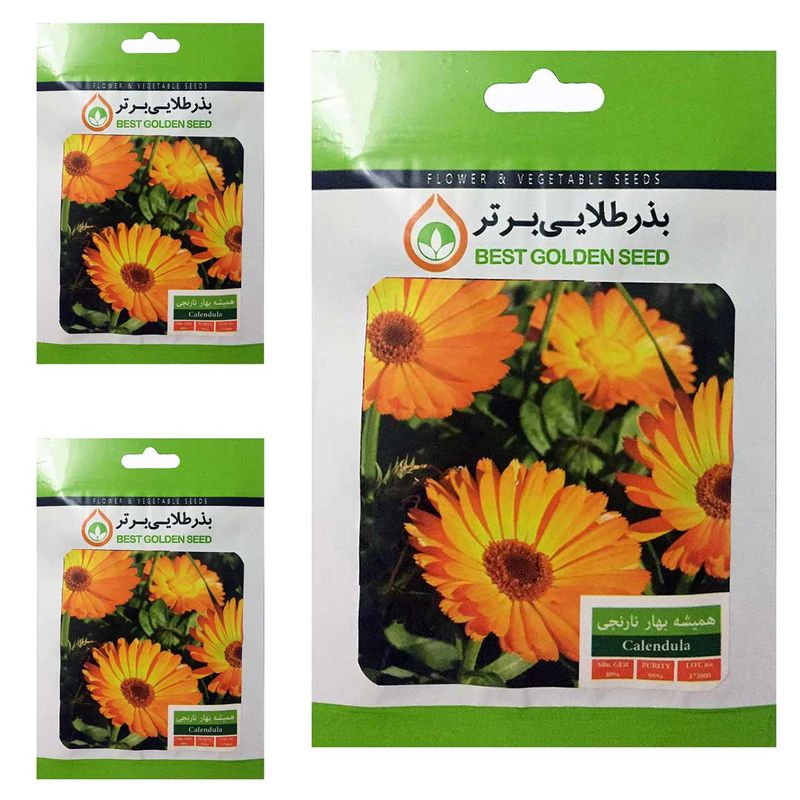 بذر گل همیشه بهار نارنجی بذر طلایی برتر کد btb 38 مجموعه 3 عددی