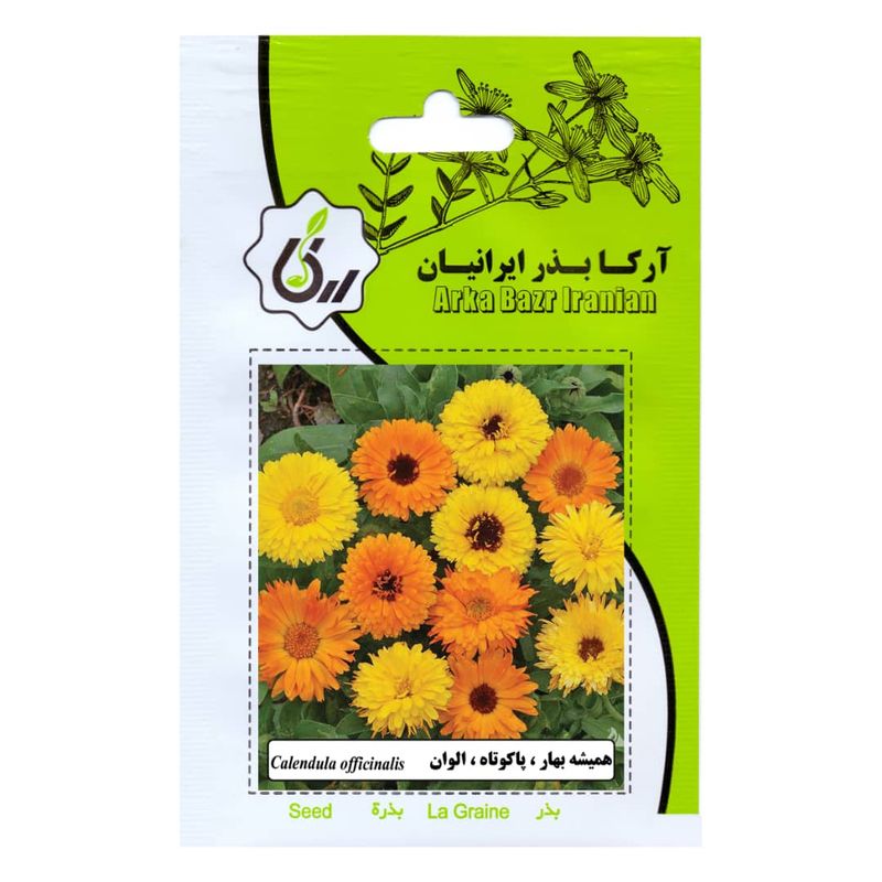 بذر گل همیشه بهار پاکوتاه الوان آرکا بذر ایرانیان کد 91 ark