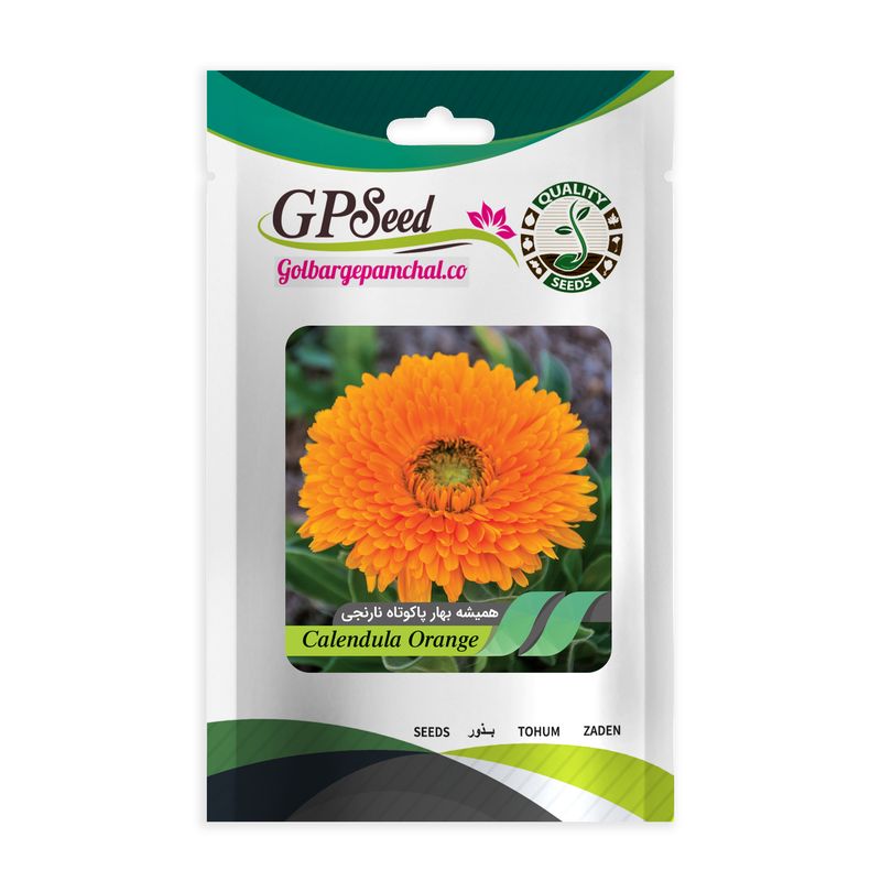 بذر گل همیشه بهار پاکوتاه نارنجی گلبرگ پامچال کد gpf 097