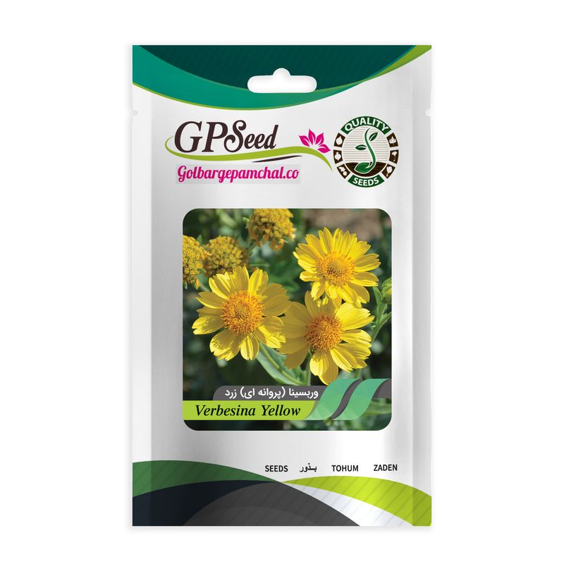 بذر گل وربسینا پروانه ای گلبرگ پامچال کد gpf 094
