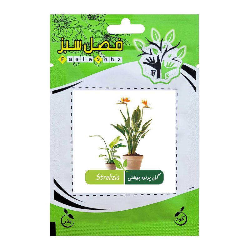 بذر گل پرنده بهشتی فصل سبز کد fsseed 32