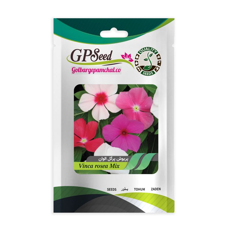 بذر گل پریوش گلبرگ پامچال کد gpf 031