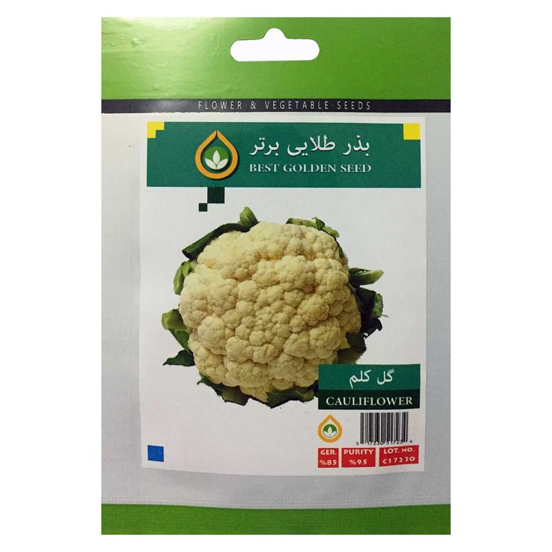 بذر گل کلم بذر طلایی برتر کد bzt 75